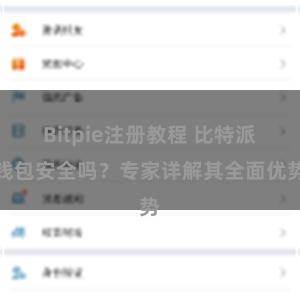 Bitpie注册教程 比特派钱包安全吗？专家详解其全面优势
