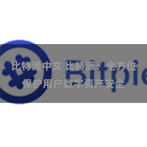 比特派中文 比特派：全方位保护用户数字资产安全
