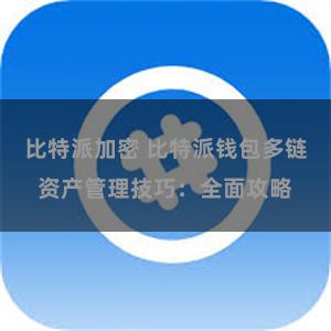 比特派加密 比特派钱包多链资产管理技巧：全面攻略