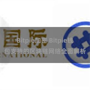 Bitpie加密 Bitpie钱包支持的区块链网络全面解析