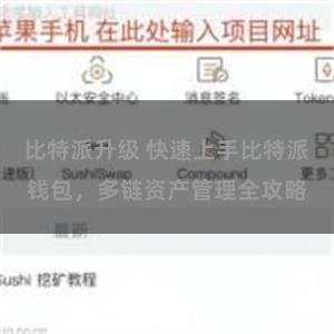 比特派升级 快速上手比特派钱包，多链资产管理全攻略