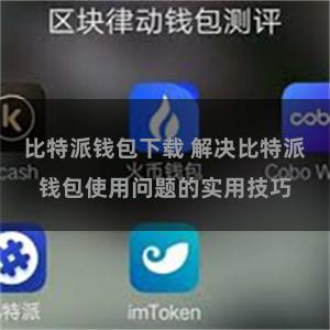 比特派钱包下载 解决比特派钱包使用问题的实用技巧