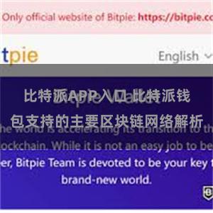比特派APP入口 比特派钱包支持的主要区块链网络解析