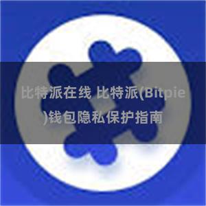 比特派在线 比特派(Bitpie)钱包隐私保护指南