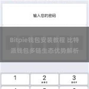 Bitpie钱包安装教程 比特派钱包多链生态优势解析