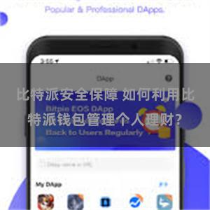 比特派安全保障 如何利用比特派钱包管理个人理财？