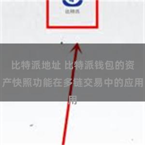 比特派地址 比特派钱包的资产快照功能在多链交易中的应用