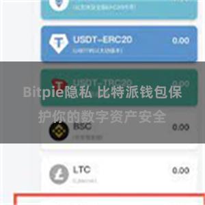 Bitpie隐私 比特派钱包保护你的数字资产安全